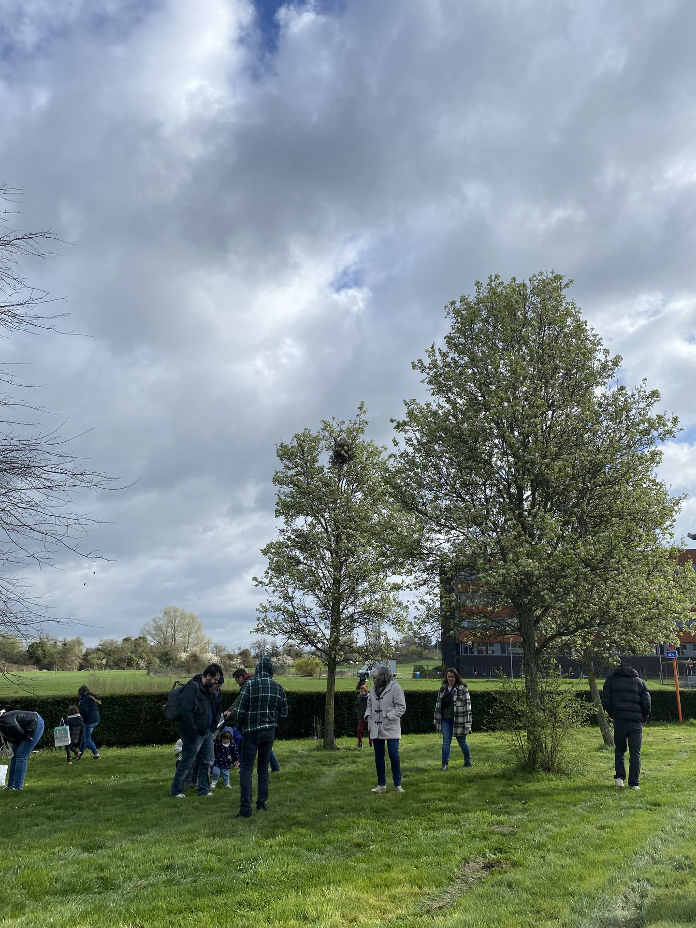 ALIFUCaM - enfants et adultes recherchent les oeufs dans l'herbe