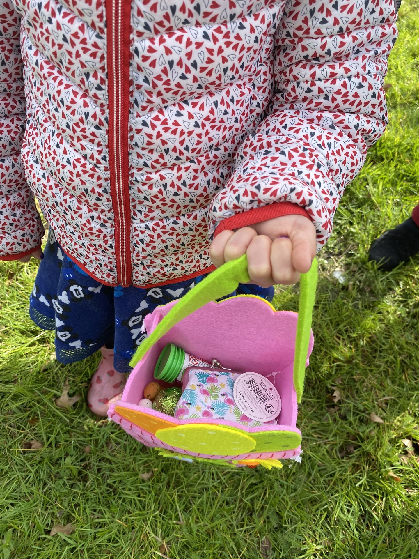 ALIFUCaM - Panier rose d'une enfant rempli d'oeufs